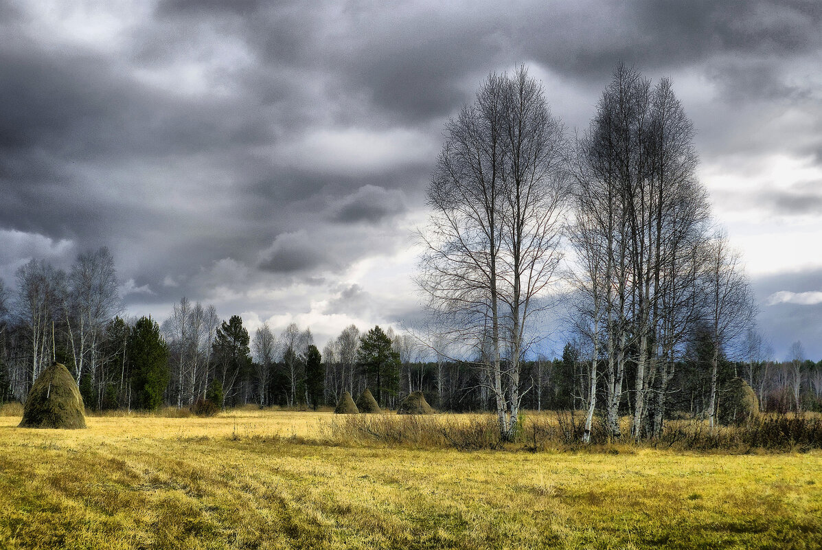 осеннее настроение - александр 