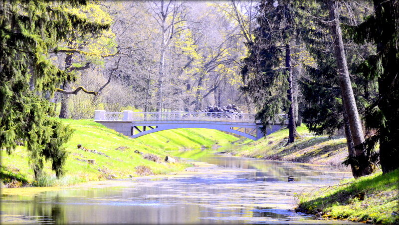 В Александровском парке ЦС - Сергей 