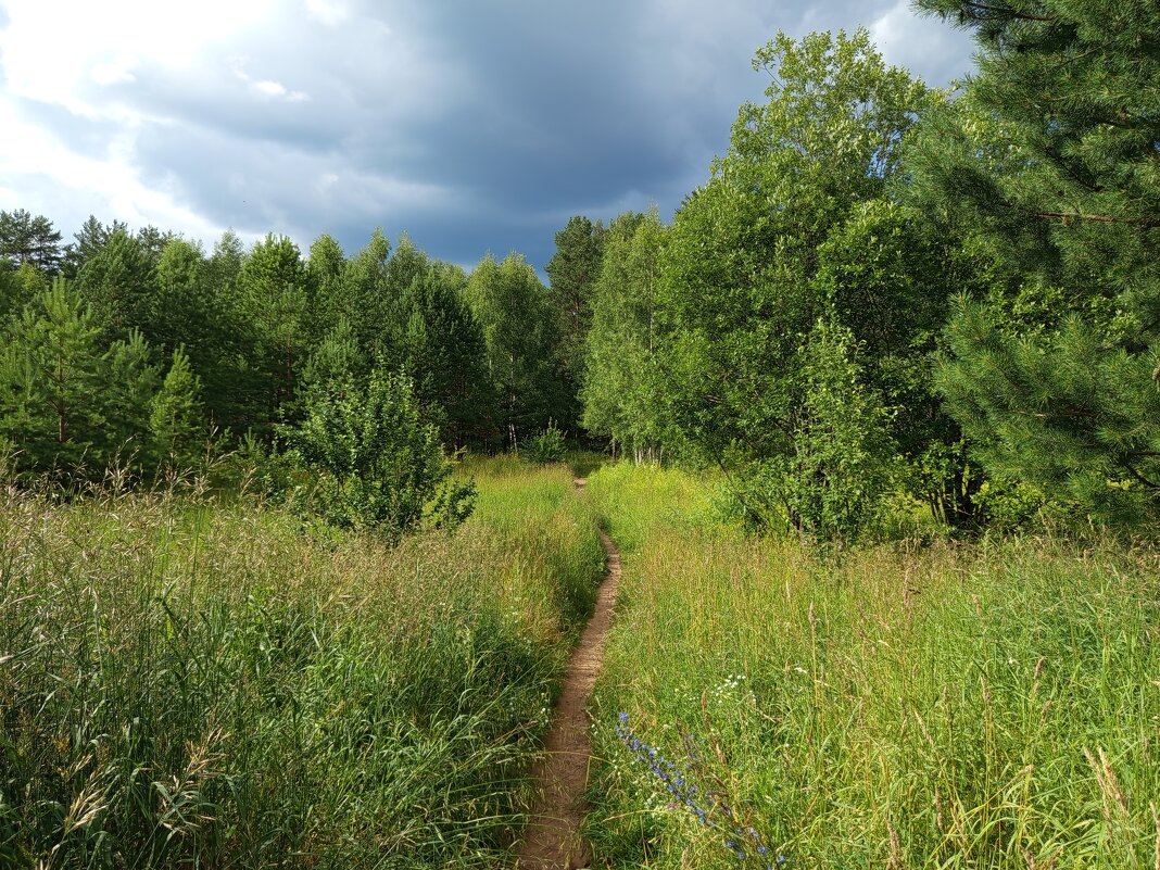 Опять собирается дождик.... - Алена 