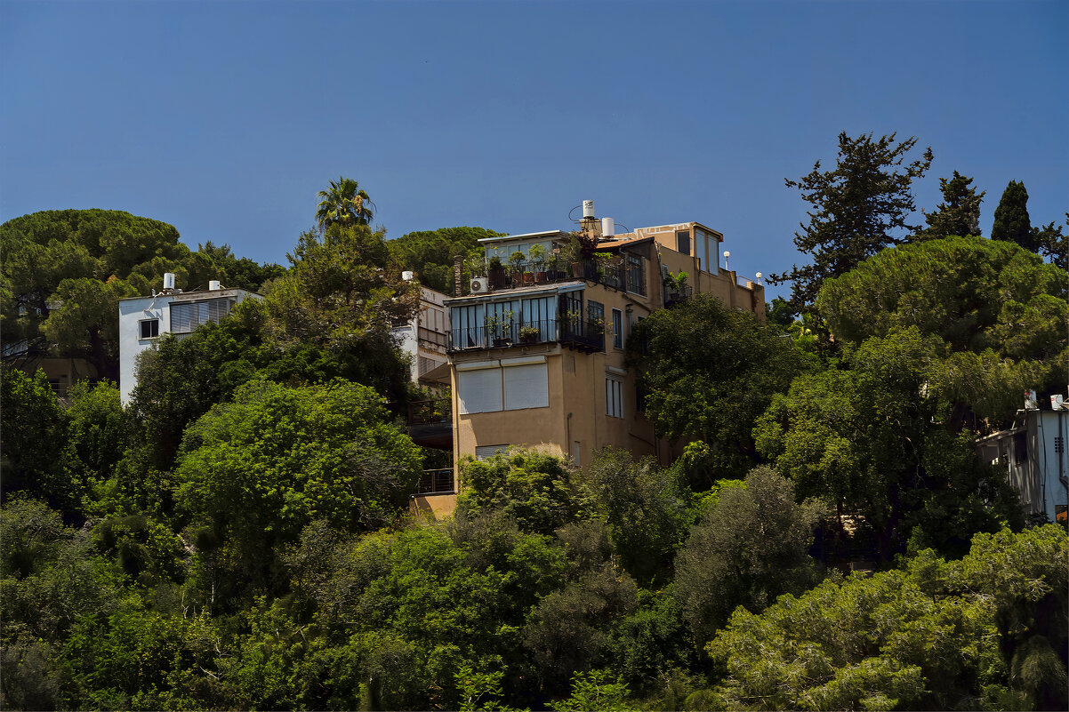 Хайфа *2025 * - ujgcvbif 