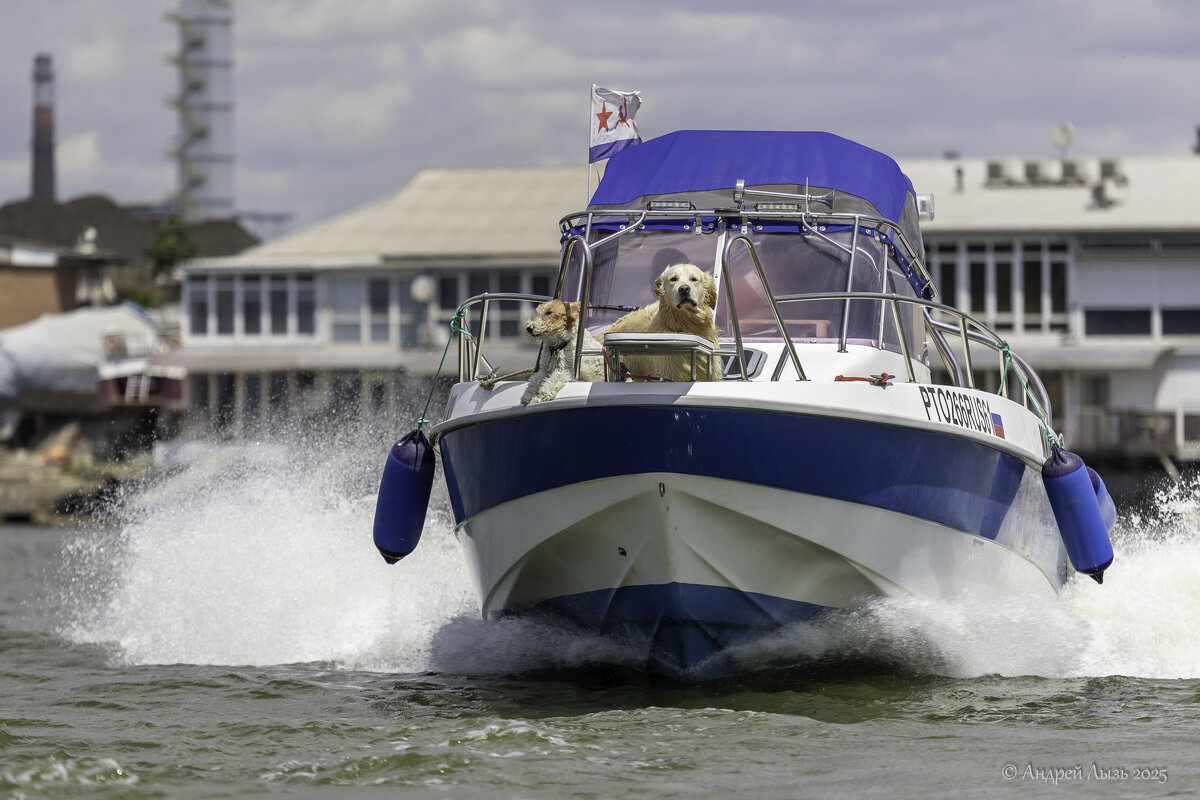 Морские волки - Андрей Lyz