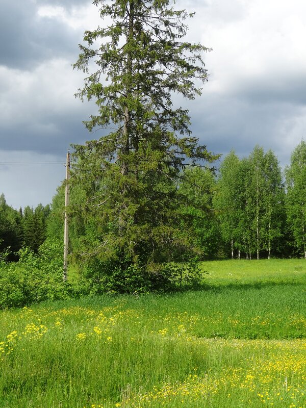 Село Рябово - Лидия Бусурина