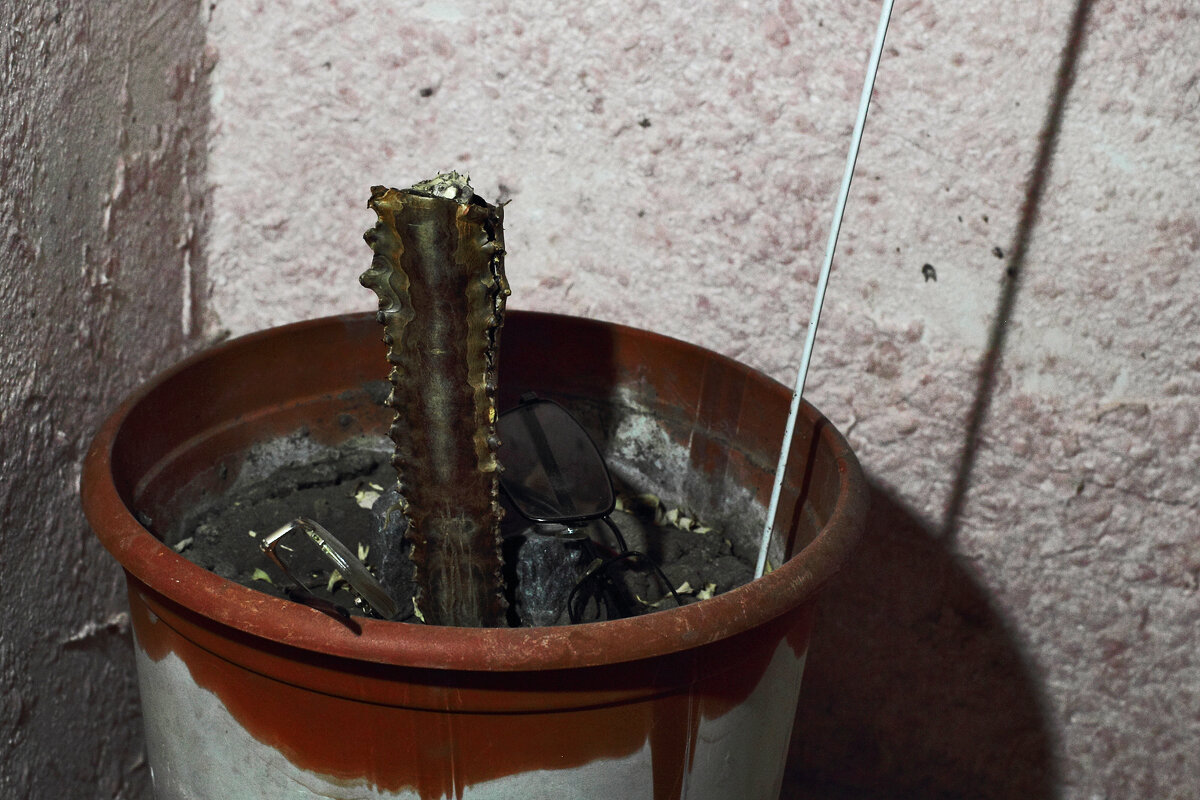 Не растёт - Юрий Гайворонскiий