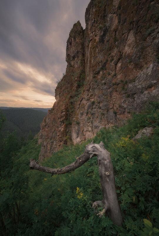 * - Александр Иванов