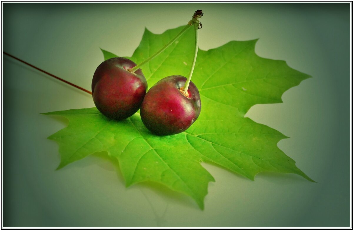 ВИШНИ... - Elvira E. ВИШНИ... - Elvira E.