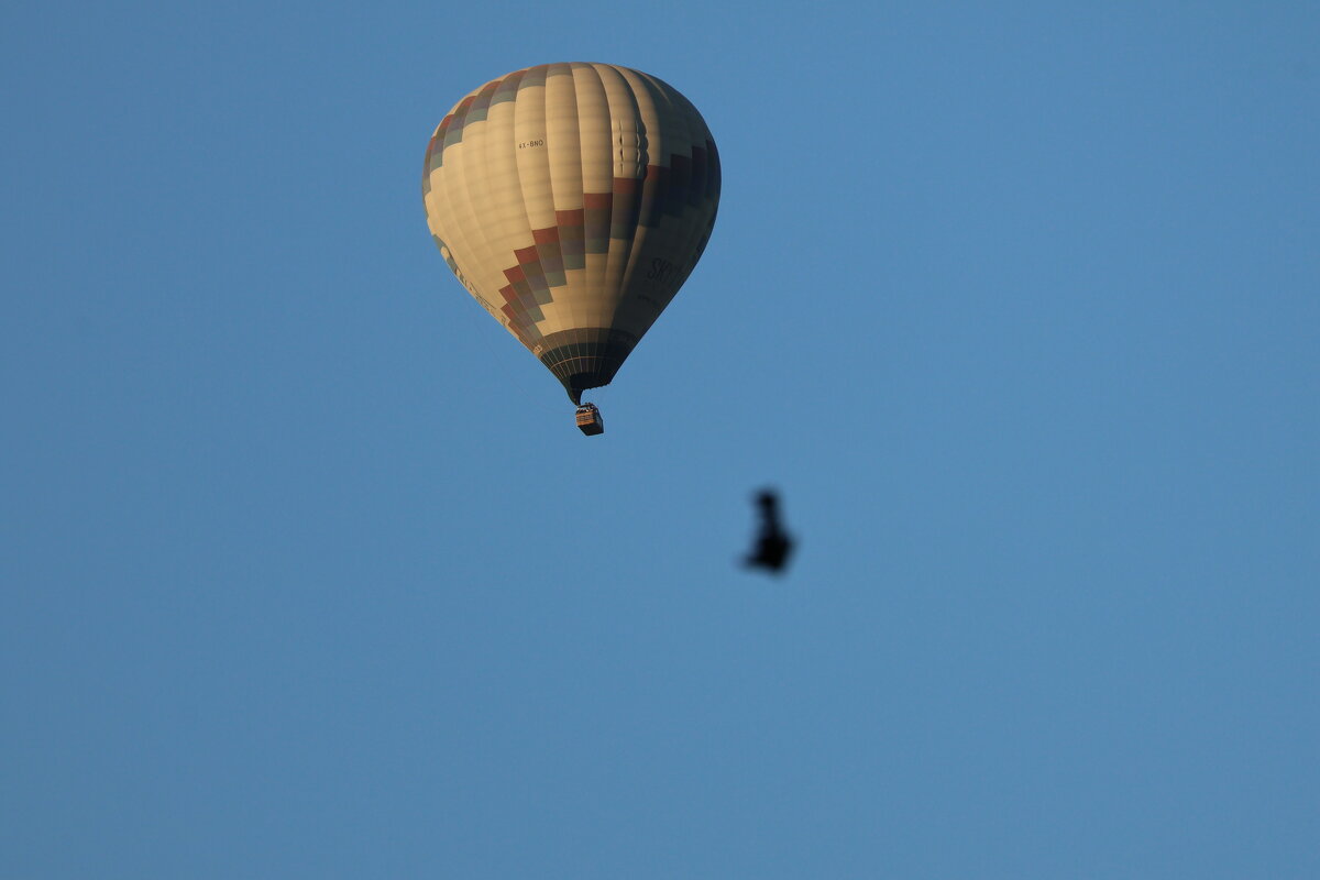 Шар - Аркадий Басович