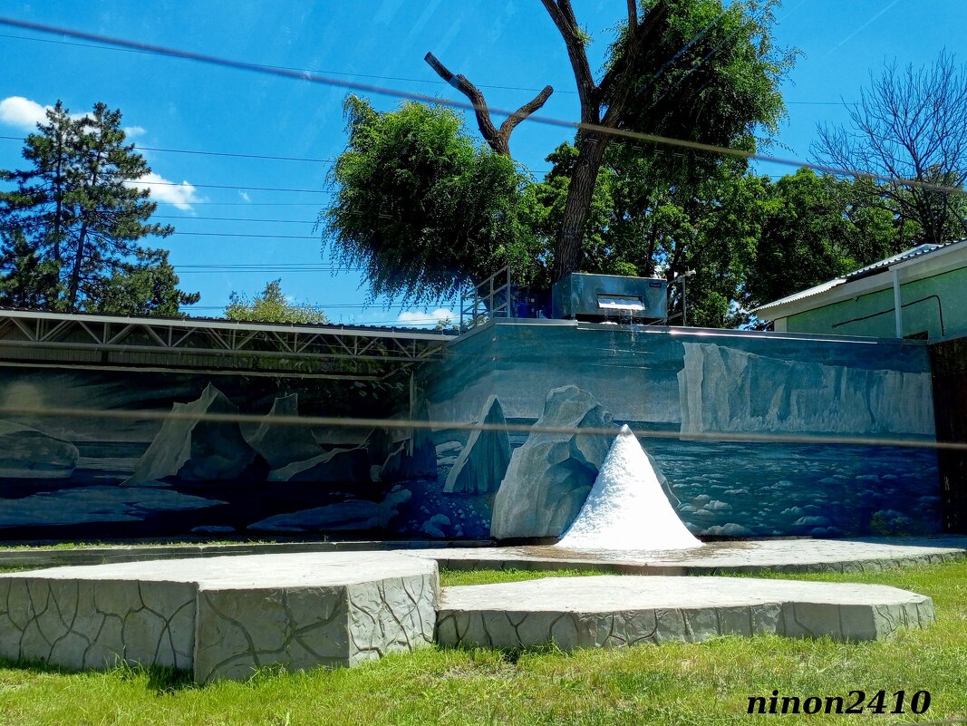 Лето в ростовском зоопарке - Нина Бутко Лето в ростовском зоопарке - Нина Бутко