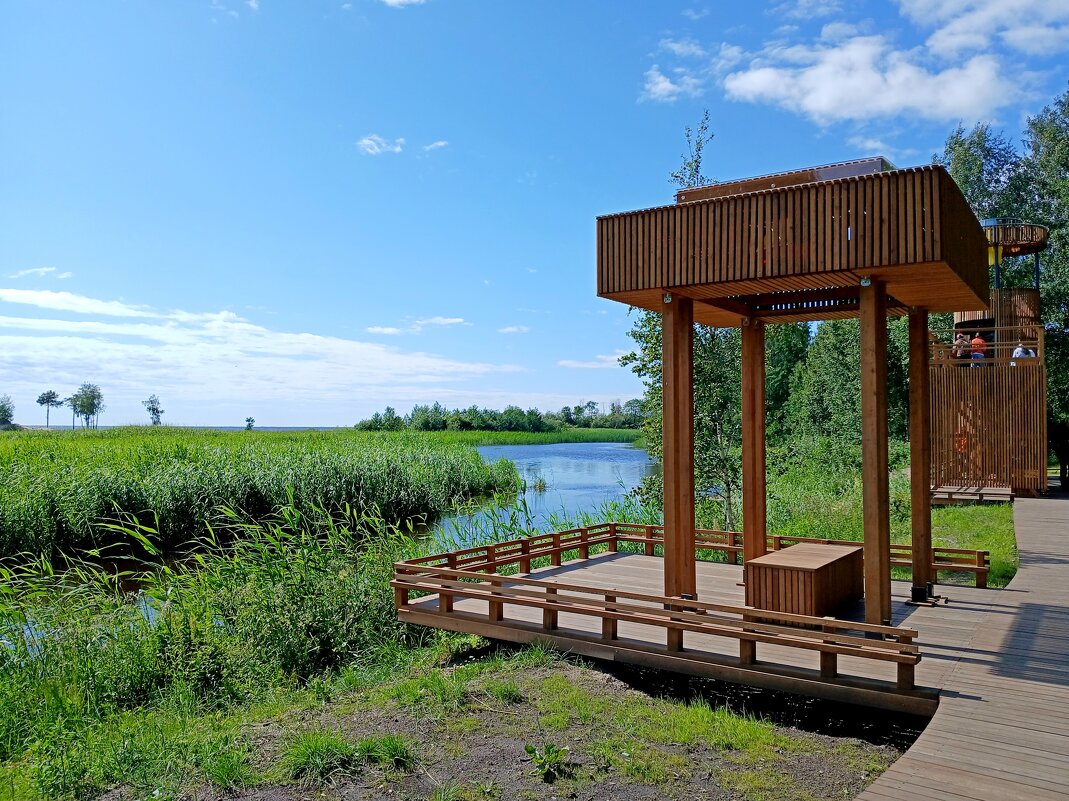 Новая зона отдыха. - Лия ☼