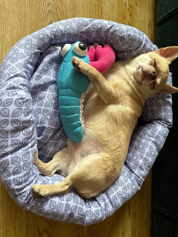 Блаженство. - Венера Чуйкова