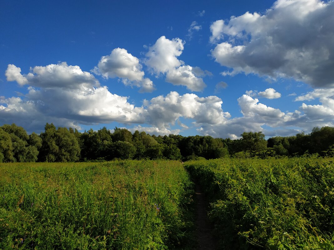 Июль как он есть - Андрей Лукьянов Июль как он есть - Андрей Лукьянов