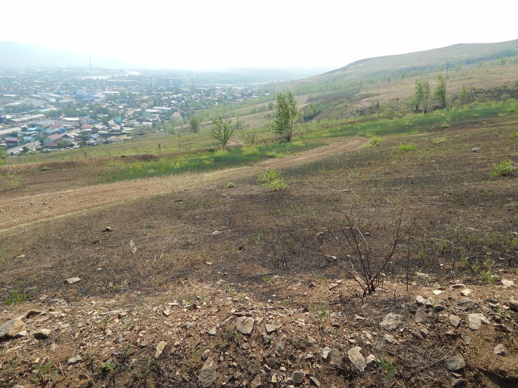 Пал прошел - Екатерина Панова