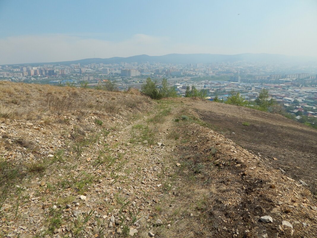 Пал прошел - Екатерина Панова Пал прошел - Екатерина Панова