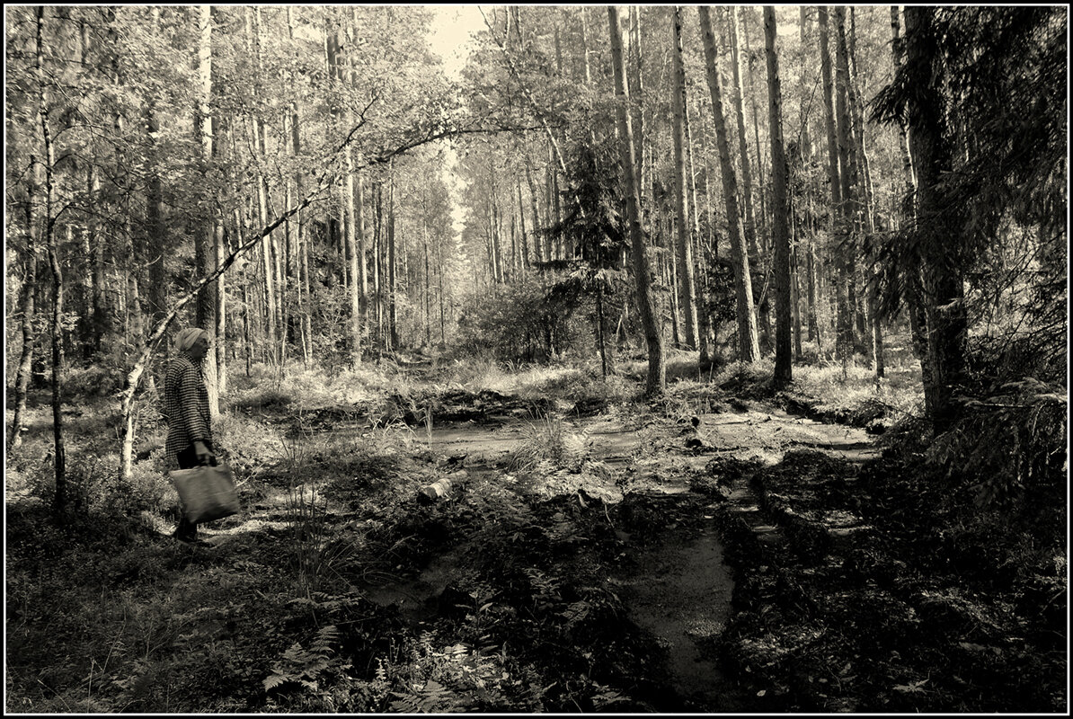 Была дорога - Aleksandr Gal