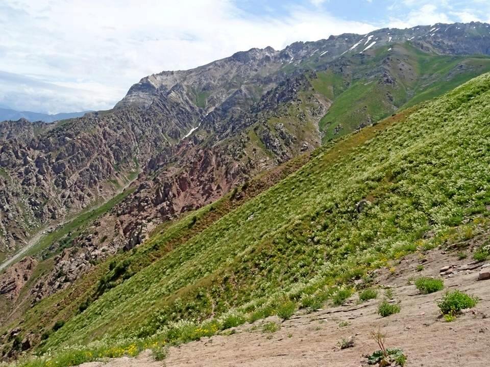 ПО ГОРАМ. - Виктор Осипчук