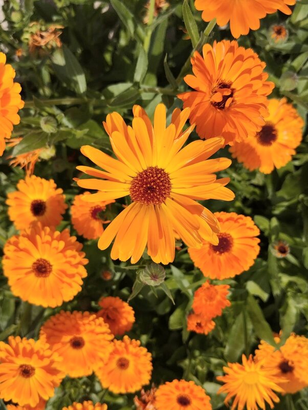 Talgar. - Murat Bukaev 