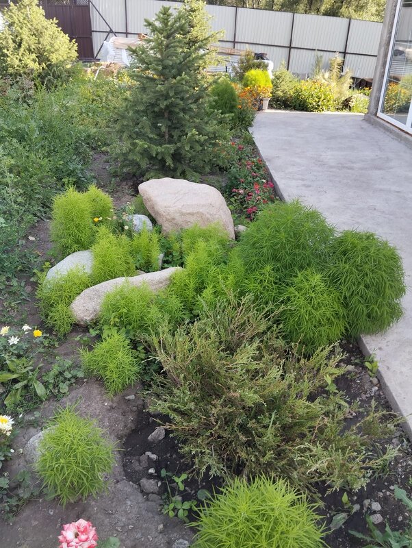 Ak Bulak.  Talgar. - Murat Bukaev 