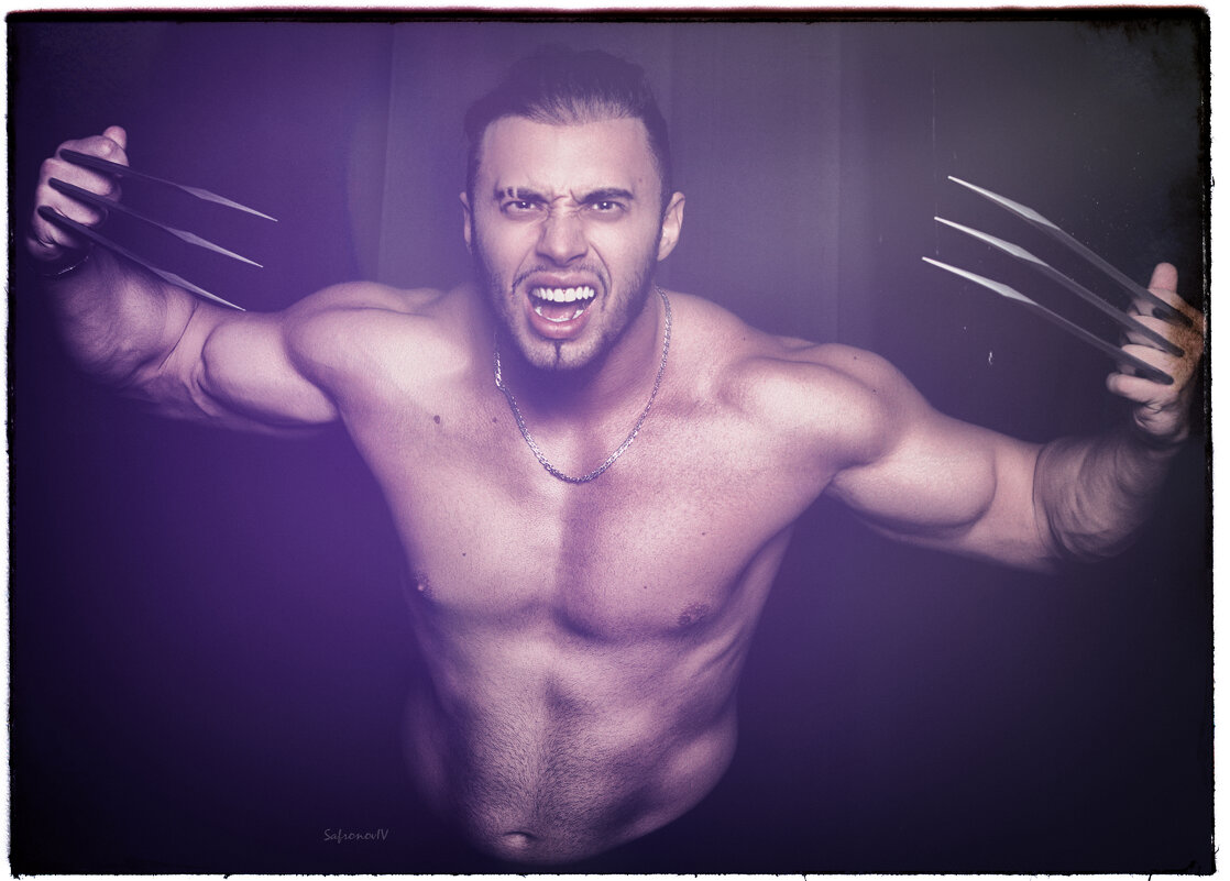 Ярость Росомахи - Джованни Луче