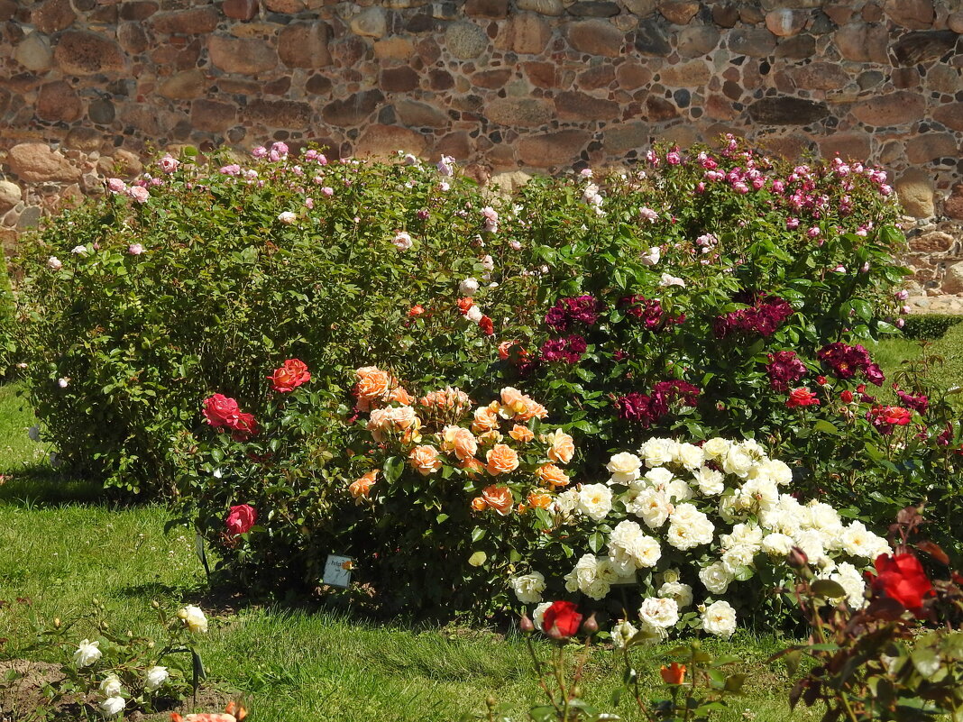 французский парк в Рундале - ИННА ПОРОХОВА