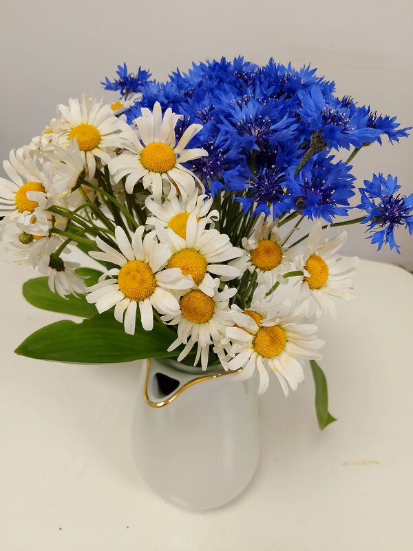 ВАСИЛЬКИ & роМАШКИ - Василий Лист ВАСИЛЬКИ & роМАШКИ - Василий Лист