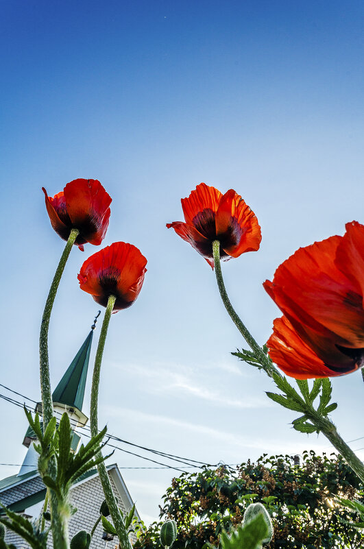 К небесам - Андрей Щетинин