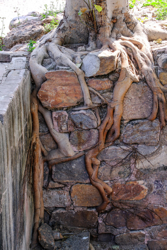 Не давно был день обнимашки - Георгий А