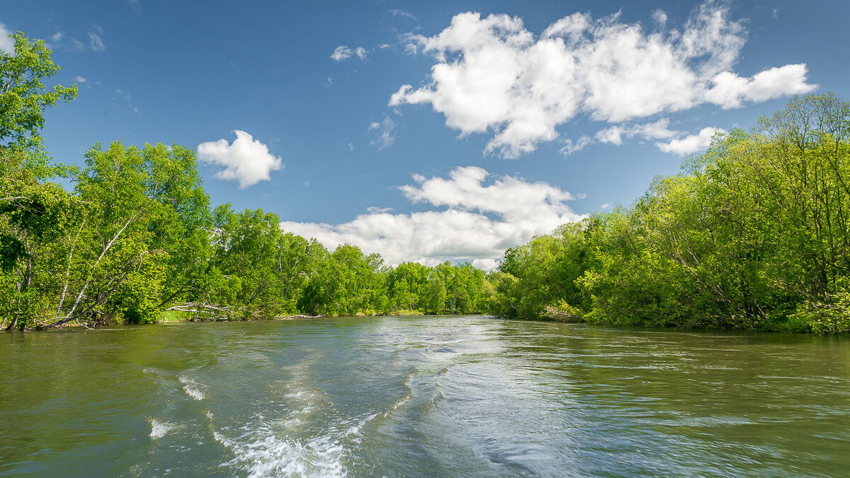 ... - Жора Житников