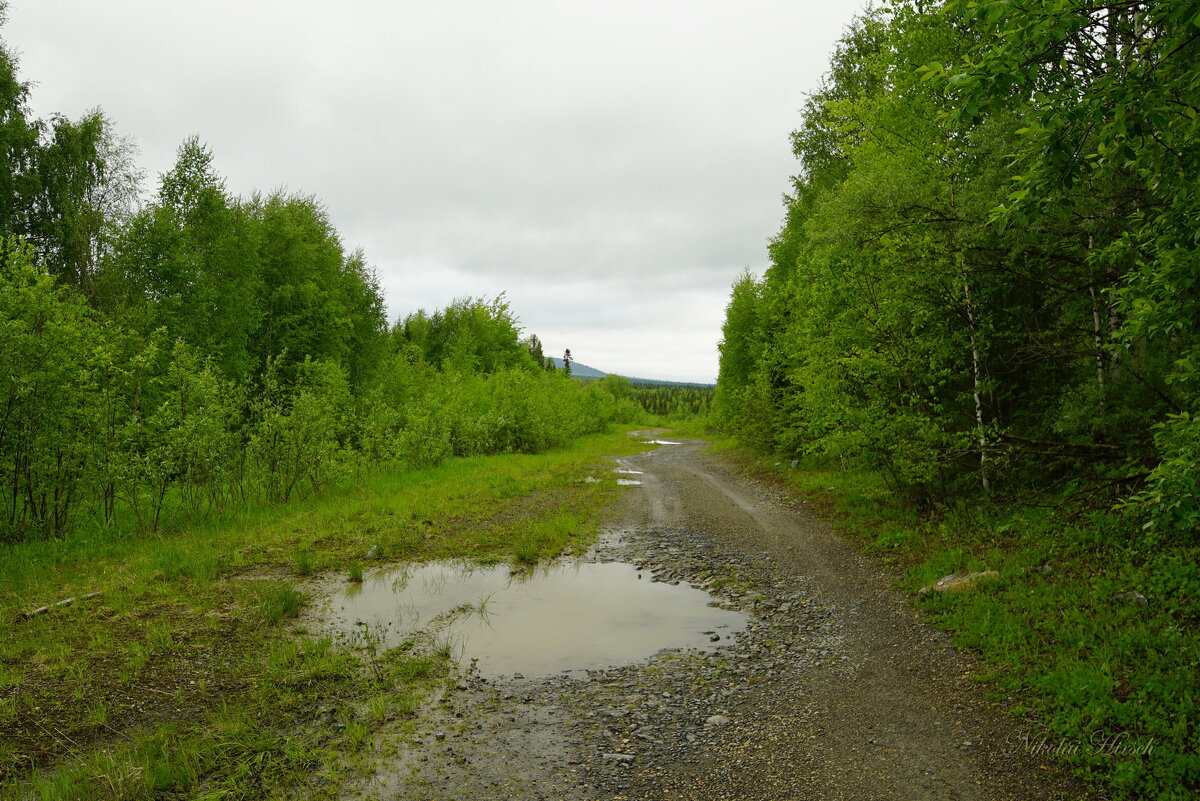 По Уралу... - Николай Гирш