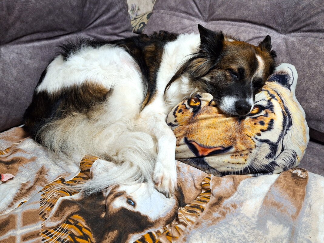 Баиньки - Наталья 