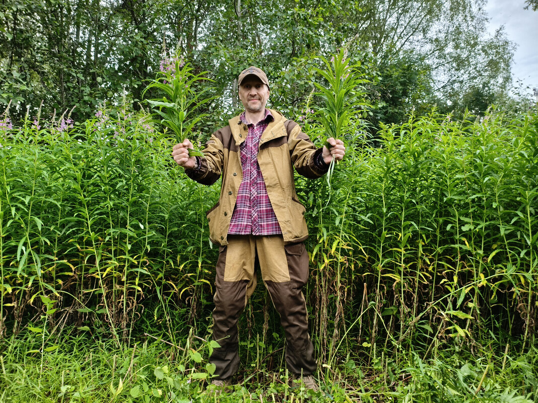 *** - Денис Бочкарёв