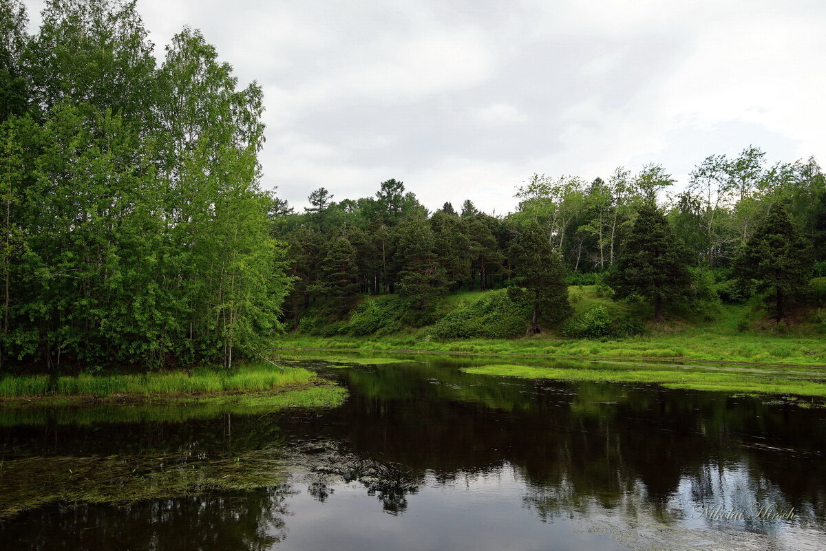 *** - Николай Гирш *** - Николай Гирш