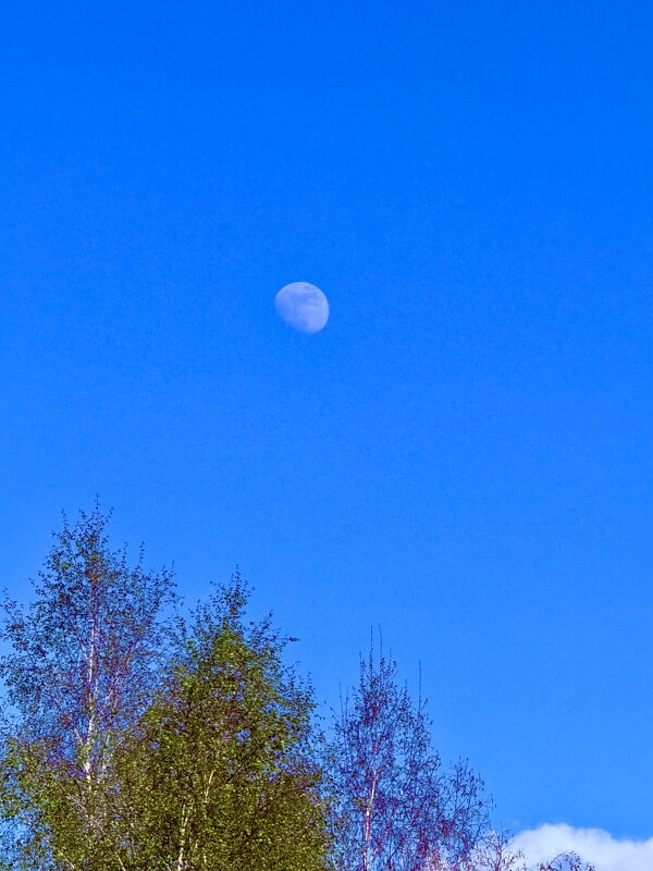 Красавица луна - Iren Brilliance