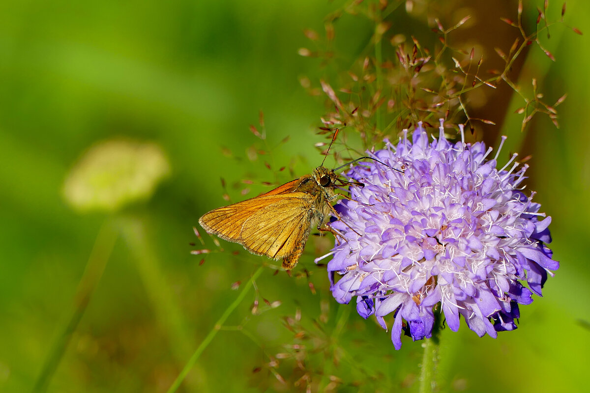 Из снятого сегодня 4 - Александр Прокудин Из снятого сегодня 4 - Александр Прокудин