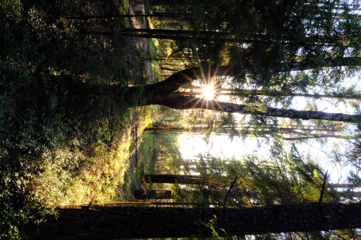 -- - Sergey -- - Sergey