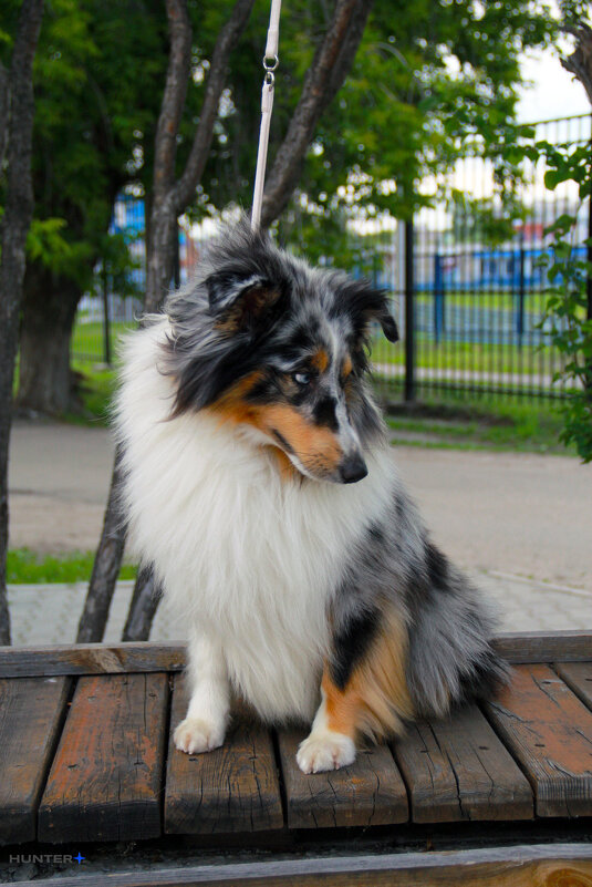 Каспер - Полина Лопатина (Hunter) Каспер - Полина Лопатина (Hunter)