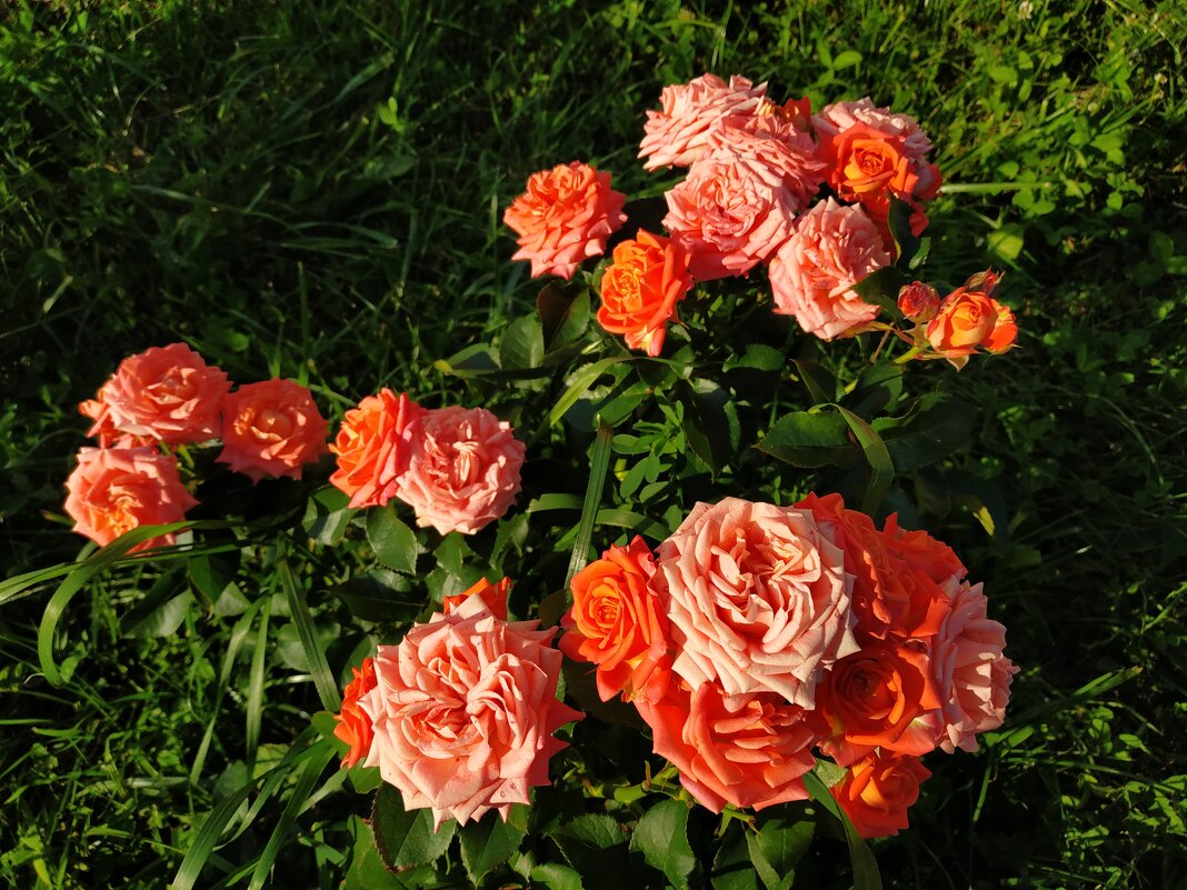 То, что рядом с нами - Андрей Лукьянов