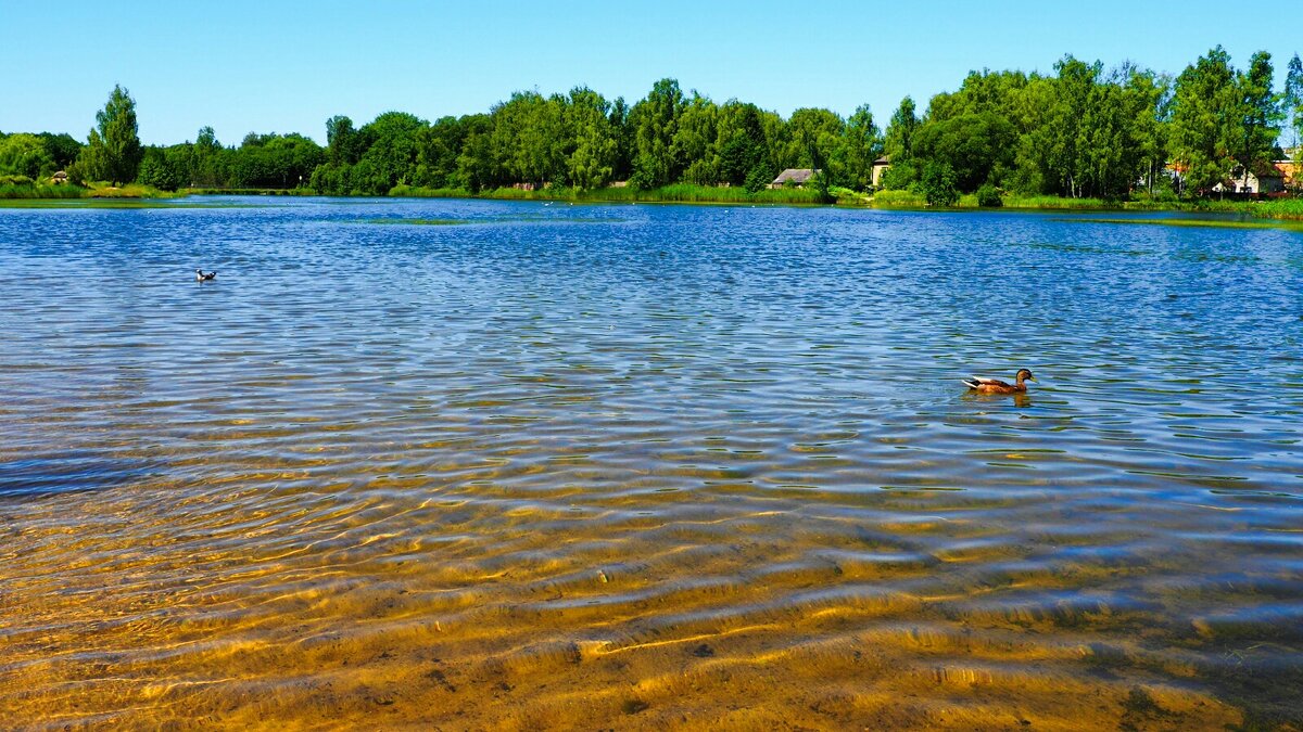 Наше лето (репортаж из поездок по области). - Милешкин Владимир Алексеевич Наше лето (репортаж из поездок по области). - Милешкин Владимир Алексеевич