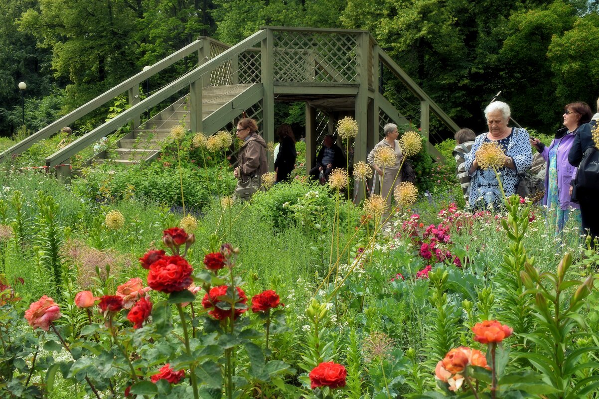 В саду ароматов. - Татьяна Помогалова