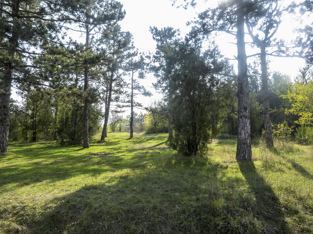 Природа  Крыма - Валентин Семчишин