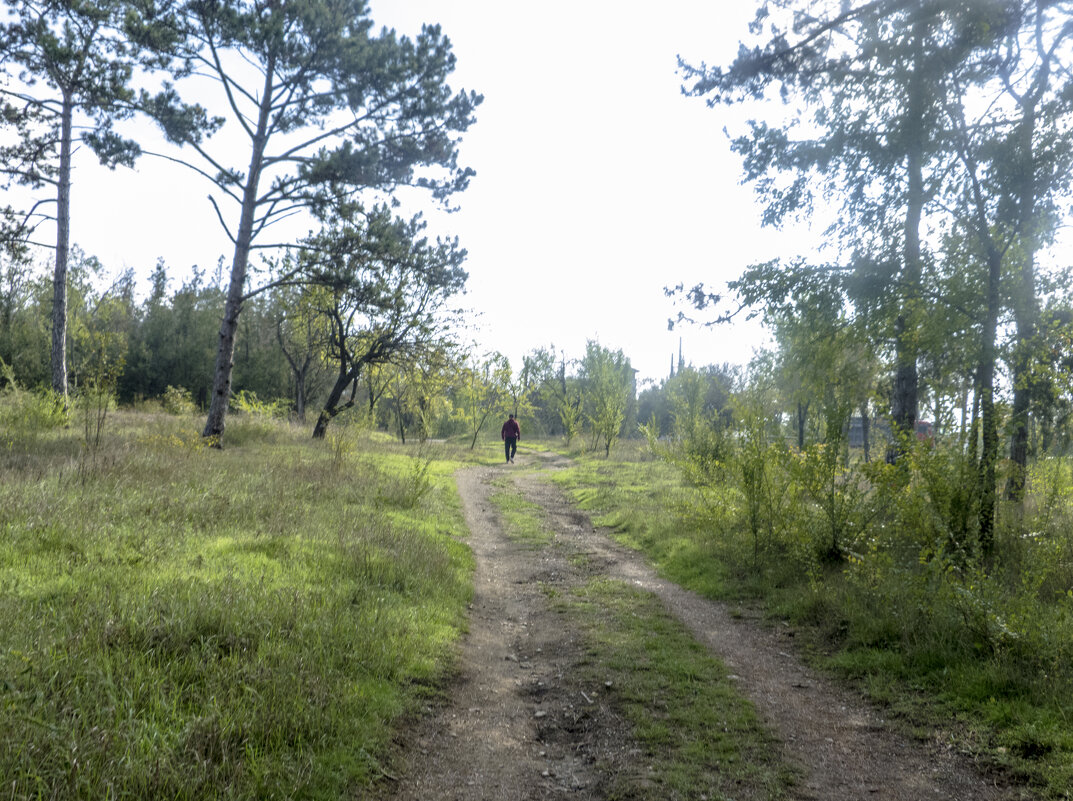 Пейзажи  Крыма - Валентин Семчишин