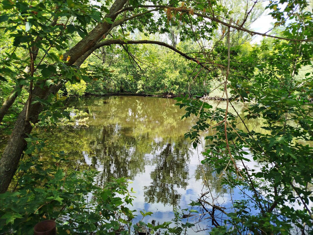 В зоопарке! - Надежда В зоопарке! - Надежда