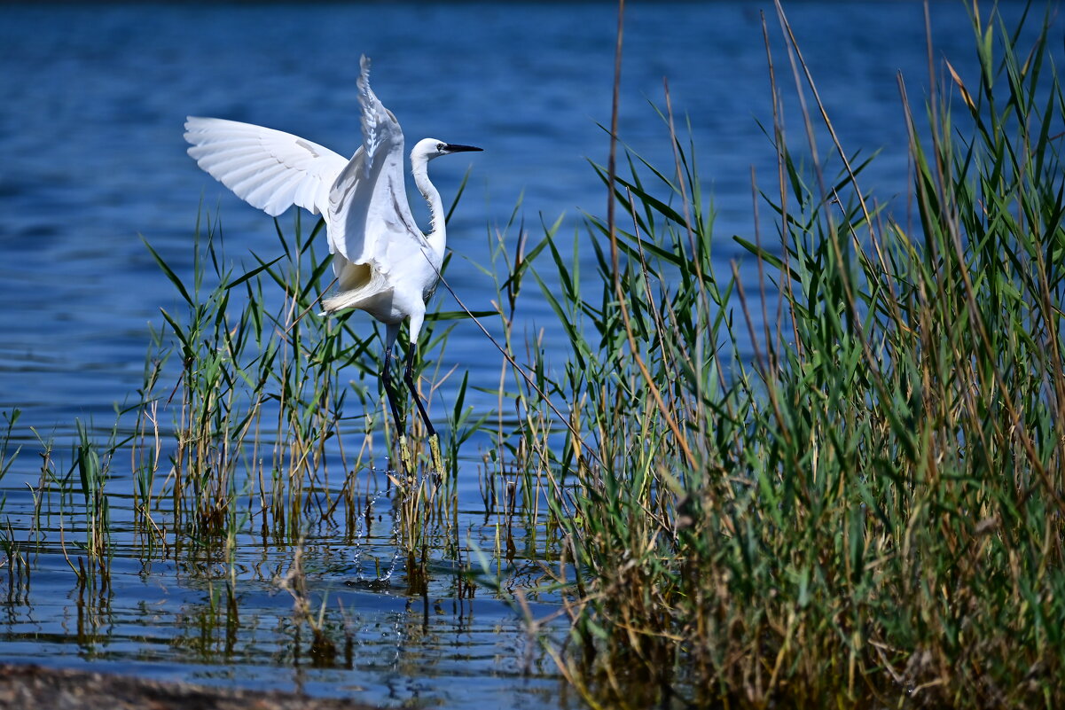 На взлет - Светлана На взлет - Светлана