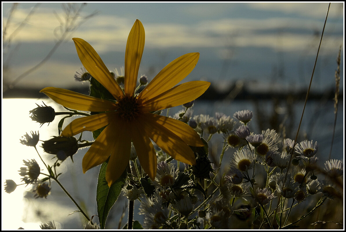 Вечереет - Aleksandr Gal