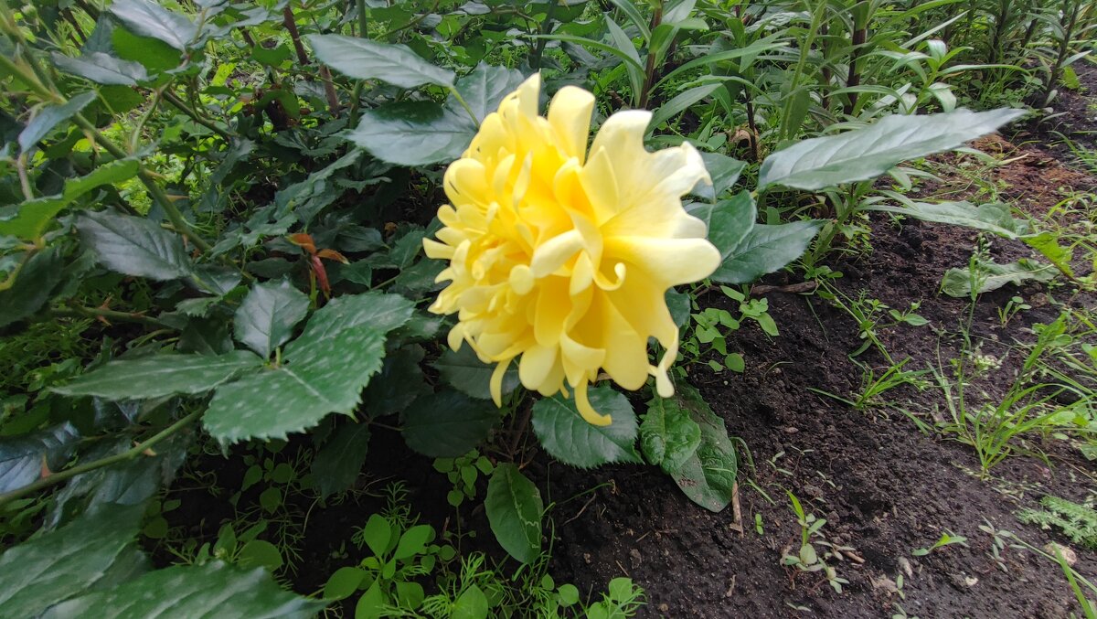 ,,, - Сергей Тимоновский ,,, - Сергей Тимоновский