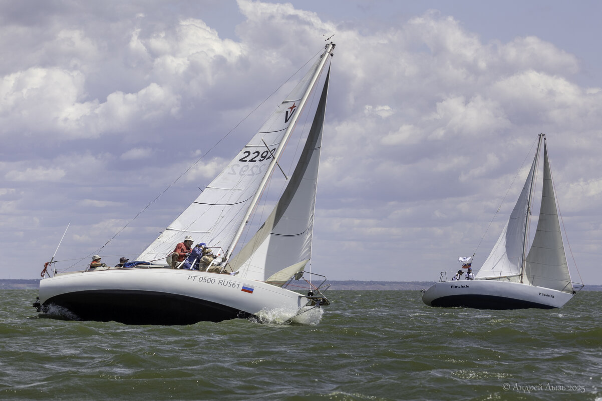 Регата - Андрей Lyz