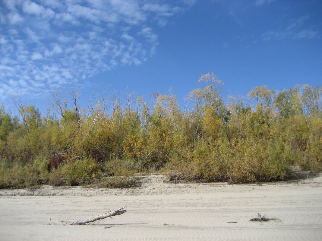 Осень - Anna Ivanova