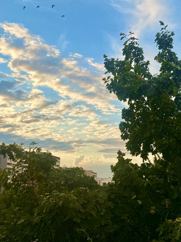 Небо - Iren Brilliance Небо - Iren Brilliance