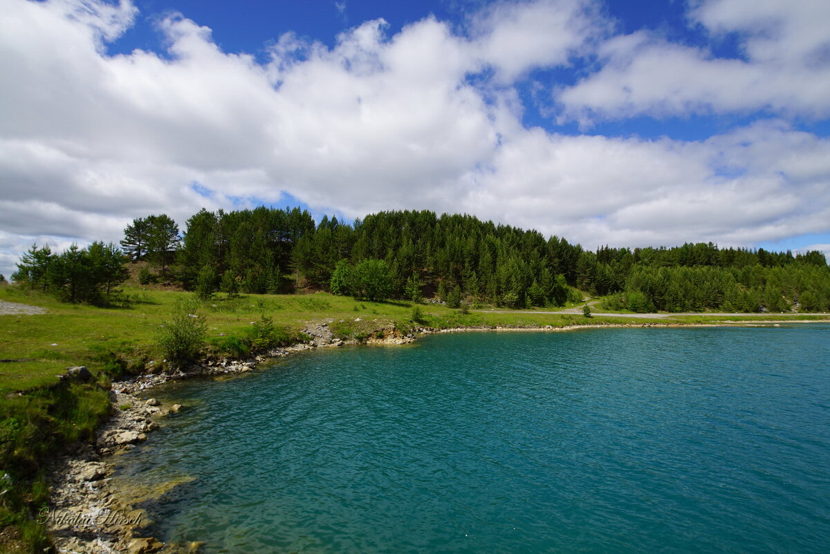 *** - Николай Гирш