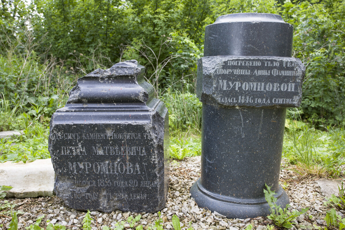 погребальные камни семейства Муромцевых - Елена Агеева погребальные камни семейства Муромцевых - Елена Агеева