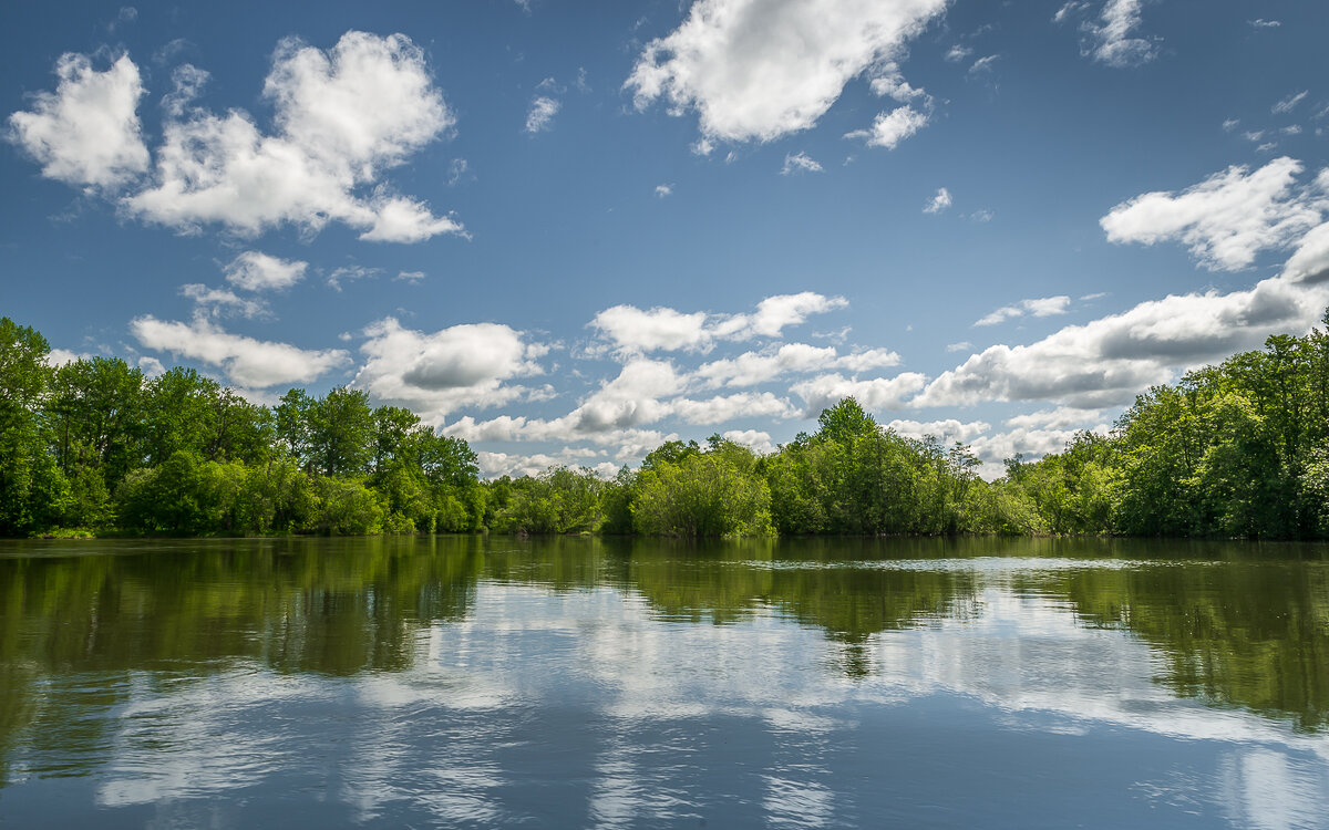 ... - Жора Житников