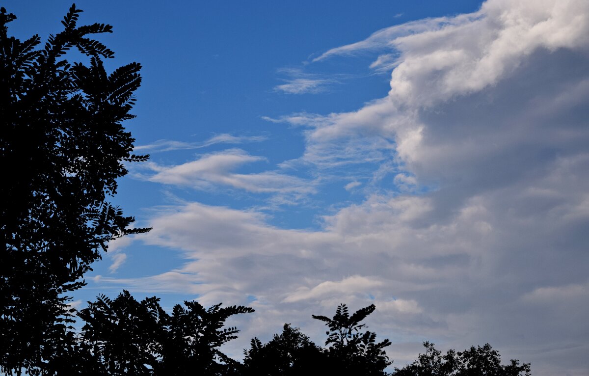 *** - Павленко Михаил 